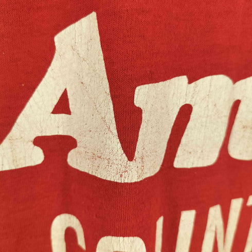 スクリーンスターズ SCREEN STARS USA製 PASADENA IS AMES COUNTRY シングルステッチTEE メンズ import:L