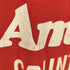 スクリーンスターズ SCREEN STARS USA製 PASADENA IS AMES COUNTRY シングルステッチTEE メンズ import:L