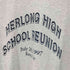 ヘインズ Hanes メキシコ製 HERLONG HIGH SCHOOL REUNION VIKINGS Tシャツ メンズ import:XL