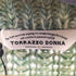 トラッゾドンナ Torrazzo Donna モヘア混ケーブルニット レディース