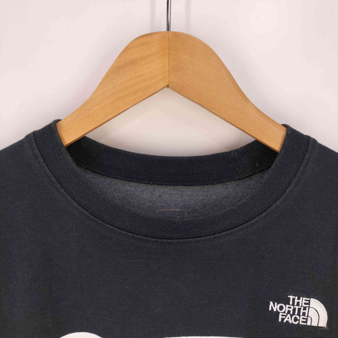 ザノースフェイス THE NORTH FACE S/S Panel Border Tee ショートスリーブパネルボーダーティー メンズ import:L
