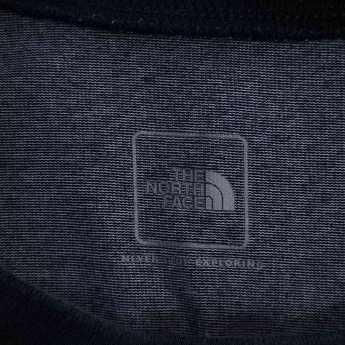 ザノースフェイス THE NORTH FACE S/S Panel Border Tee ショートスリーブパネルボーダーティー メンズ import:L