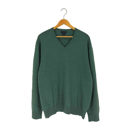 ランズエンド LANDS END カシミヤ Vネックニット メンズ import:L