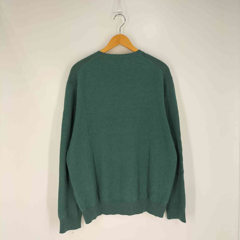 ランズエンド LANDS END カシミヤ Vネックニット メンズ import:L