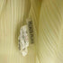 プリーツプリーズイッセイミヤケ PLEATS PLEASE ISSEY MIYAKE プリーツ加工 ノースリーブ レディース JPN:3
