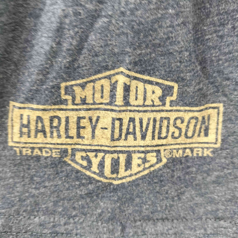 ハーレーダビッドソン HARLEY-DAVIDSON 2018 プリントカットソー メンズ