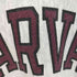 チャンピオン Champion 90S MADE IN USA REVERSE WEAVE 刺繍タグ 染み込みカレッジプリント HARVARD メンズ import:XXL