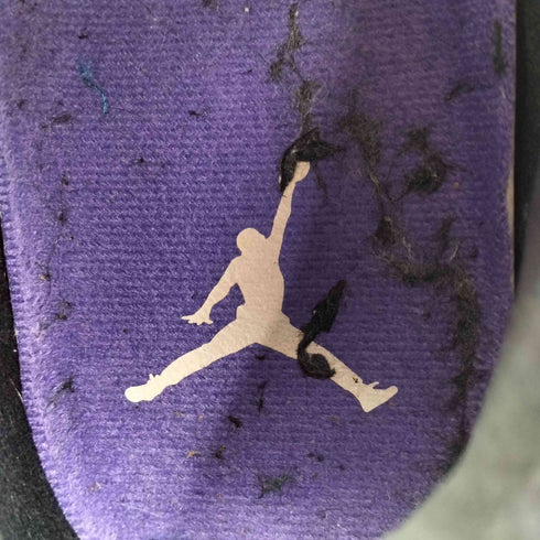 ジョーダンブランド JORDAN BRAND Air Jordan 3 Retro Dark Iris メンズ JPN:28