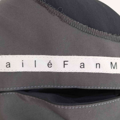 aileFanM 袖切替デザインナイロンワンピース elegance レディース JPN:38