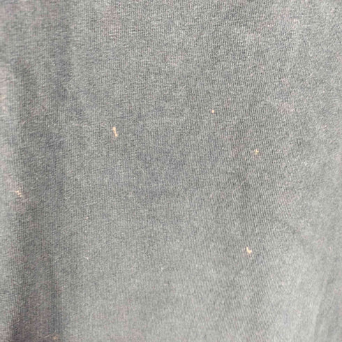 BIG DOGS DOG PRINT S/S TEE 雰囲気 フェード メンズ