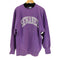チャンピオン Champion USA製 REVERSE WEAVE 刺繍タグ SEWANEE アーチロゴスウェット メンズ import:XL