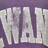 チャンピオン Champion USA製 REVERSE WEAVE 刺繍タグ SEWANEE アーチロゴスウェット メンズ import:XL