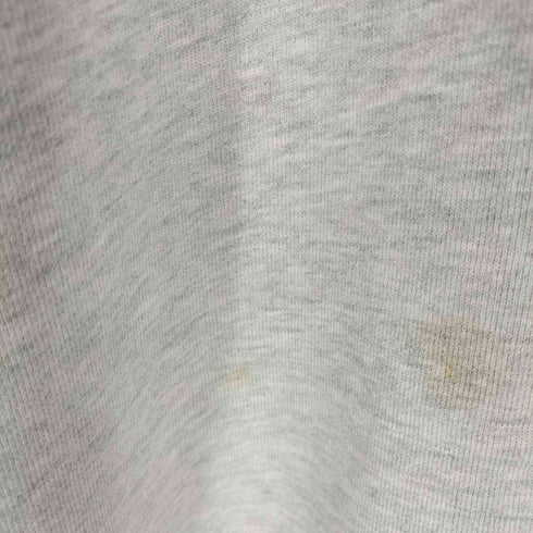 チャンピオン Champion 00s PREMIUM REVERSE WEAVE パーカー メンズ