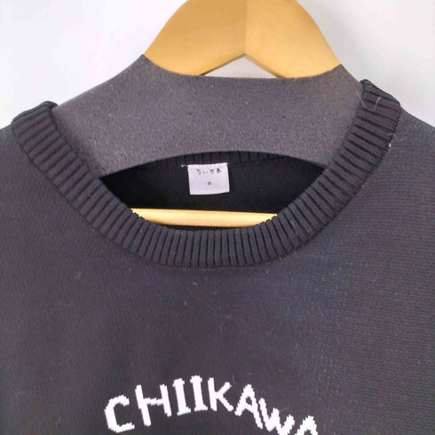 BIG サイズニット メンズ import:M