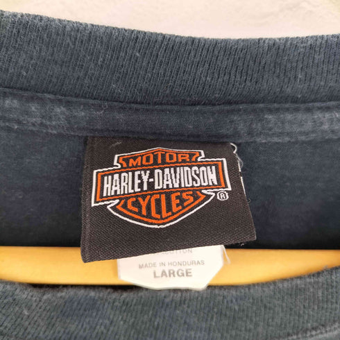 ハーレーダビッドソン HARLEY-DAVIDSON SINISTER BIKE 両面プリント クルーネックTシャツ メンズ JPN:L