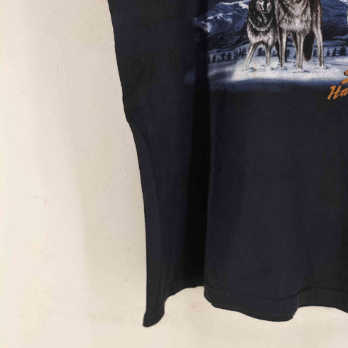ハーレーダビッドソン HARLEY-DAVIDSON USA製 ALASKA 両面プリント クルーネックTシャツ メンズ 2X