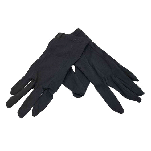 アイスブレーカー ICEBREAKER 200 OASIS GLOVE LINER オアシス グローブ ライナー 手袋 メンズ