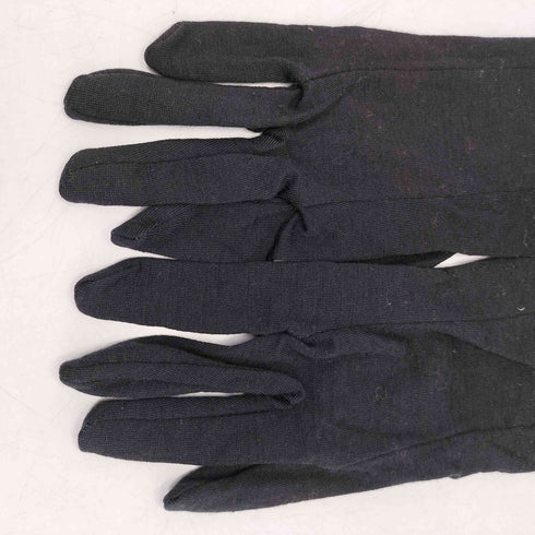 アイスブレーカー ICEBREAKER 200 OASIS GLOVE LINER オアシス グローブ ライナー 手袋 メンズ