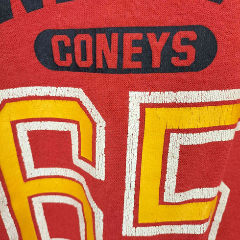 ヘインズ Hanes 90S フロントBIGプリントクルーネックスウェットシャツ Vガゼット メンズ JPN:L