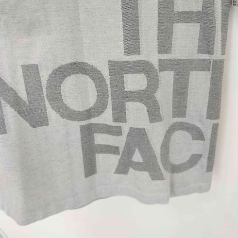 ザノースフェイス THE NORTH FACE S/S RDT DRY LOGO CREW レディース JPN:L