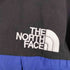 ザノースフェイス THE NORTH FACE GORE-TEX ドローコード マウンテンガイドジャケット ゴアテックス メンズ