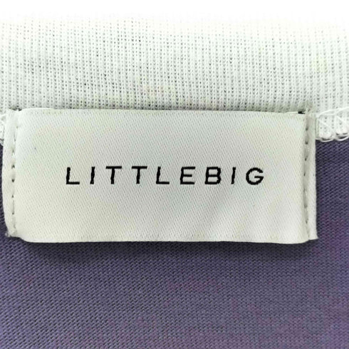 リトルビッグ LITTLEBIG PATHLESS TS リンガーtシャツ メンズ