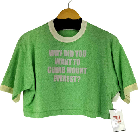 ビームスボーイ BEAMS BOY プリント リンガー Tシャツ レディース FREE