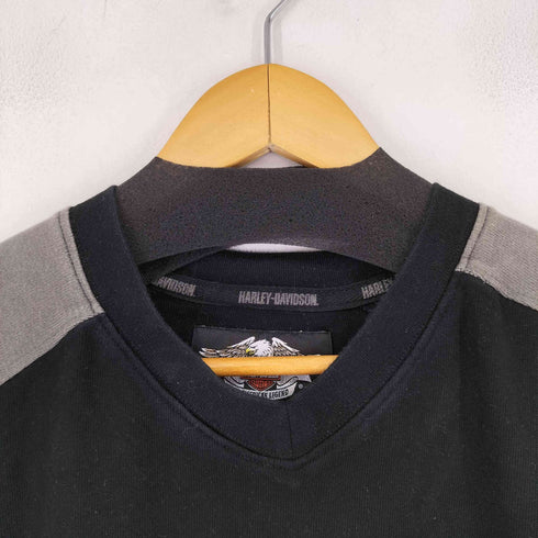 ハーレーダビッドソン HARLEY-DAVIDSON スカル 袖ライン クルーネックTシャツ メンズ JPN:L