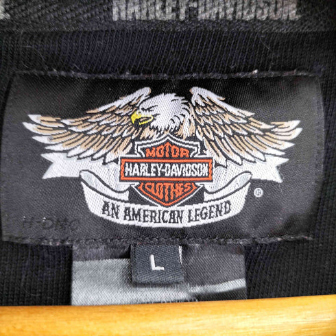 ハーレーダビッドソン HARLEY-DAVIDSON スカル 袖ライン クルーネックTシャツ メンズ JPN:L