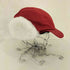 ザノースフェイス THE NORTH FACE WOOL EAR CAP メンズ