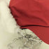 ザノースフェイス THE NORTH FACE WOOL EAR CAP メンズ