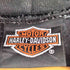 ハーレーダビッドソン HARLEY-DAVIDSON FEEL THE HEART ロゴプリント 裏起毛 プルオーバー パーカー メンズ