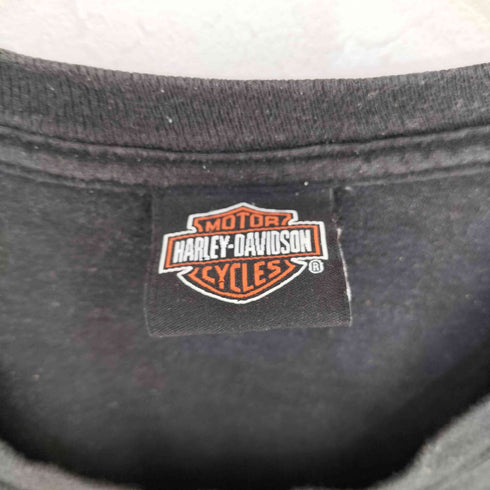 ハーレーダビッドソン HARLEY-DAVIDSON 両面プリント ロゴ TEE メンズ import:XL