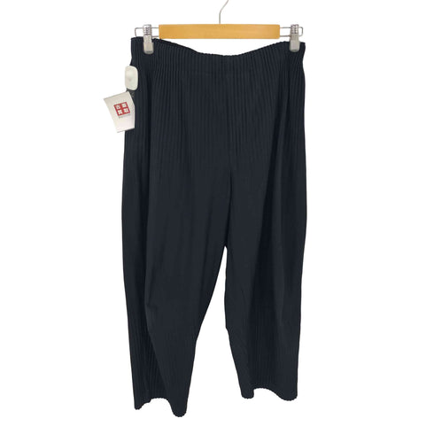 オムプリッセイッセイミヤケ HOMME PLISSE ISSEY MIYAKE 15AW 消しプリーツパンツ メンズ JPN:3