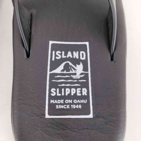 アイランドスリッパ ISLAND SLIPPER トングサンダル メンズ US:8