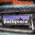パタゴニア patagonia アナトリア ネイティブ柄 フリースジャケット LIGHTWEIGHT SYNCHILLA SWEATER メンズ JPN:L