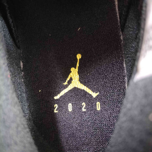 ジョーダンブランド JORDAN BRAND Air Jordan 6 DMP メンズ 10.5