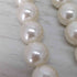 パメオポーズ Pameo Pose sparkle pearl necklace レディース