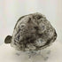 ザノースフェイス THE NORTH FACE Frontier Cap メンズ M