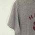 チャンピオン Champion USA製 80s トリコタグ HARVARD プリントTシャツ メンズ JPN:L