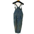 JEANING CASUAL YORK REINE デニムオーバーオール メンズ