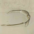 ドルチェアンドガッバーナ DOLCE&GABBANA 90-00s EYEWEAR marcolin社製 クリアサングラス メンズ 753 76□3