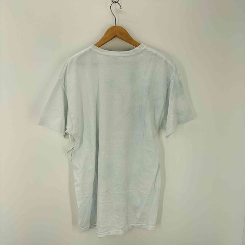 ヘインズ Hanes フロントプリント ペンギン Tシャツ メンズ import:L