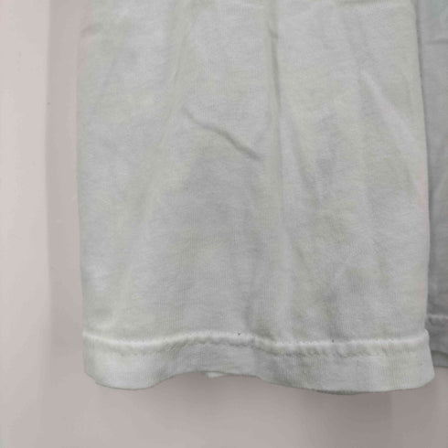 ヘインズ Hanes フロントプリント ペンギン Tシャツ メンズ import:L