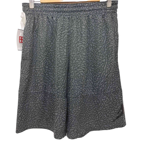 ジョーダンブランド JORDAN BRAND elephant Blockout Short メンズ JPN:L