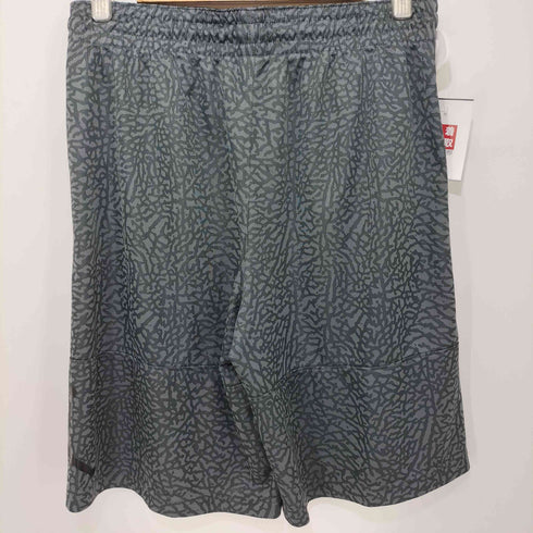 ジョーダンブランド JORDAN BRAND elephant Blockout Short メンズ JPN:L
