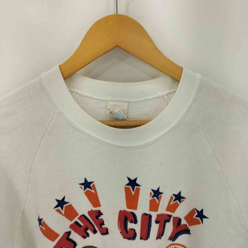 アンビル Anvil 70-80S USA製 プリント ラグランスウェット メンズ import:L