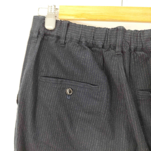 ネストローブコンフェクト nest Robe CONFECT 24AW シルクネップストライプ イージートラウザーズ Silk Nep Stripe Easy Trousers メンズ JPN:3