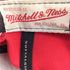 ミッチェルアンドネス mitchell&ness 刺繍 パネルキャップ メンズ