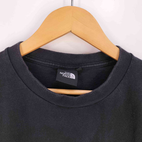 ザノースフェイス THE NORTH FACE L/S Tested Proven Tee ロングスリーブテステッドプルーブンティー メンズ import:XL